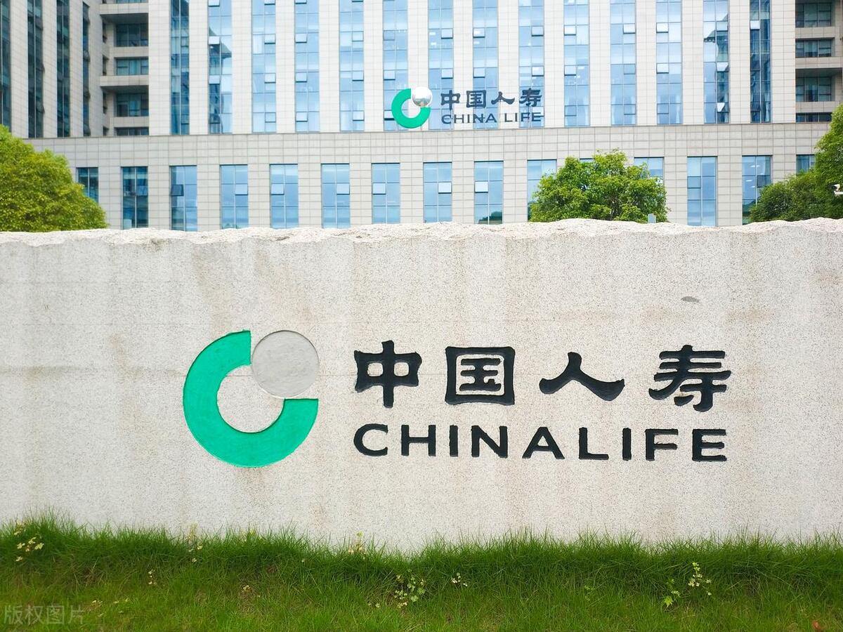 人寿保险公司怎么样(人寿保险公司怎么样可靠吗)