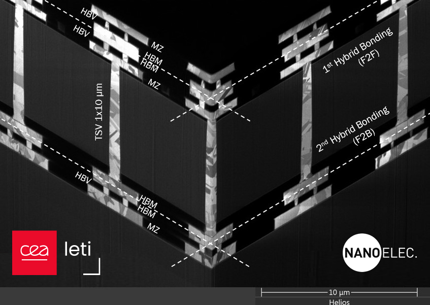 3D_xsection_manuscript_219_final.jpg