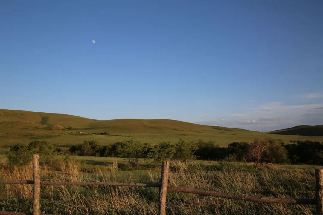 唯有不争,方能无忧