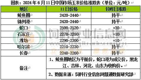 玉米期货网站(玉米期货交易平台)