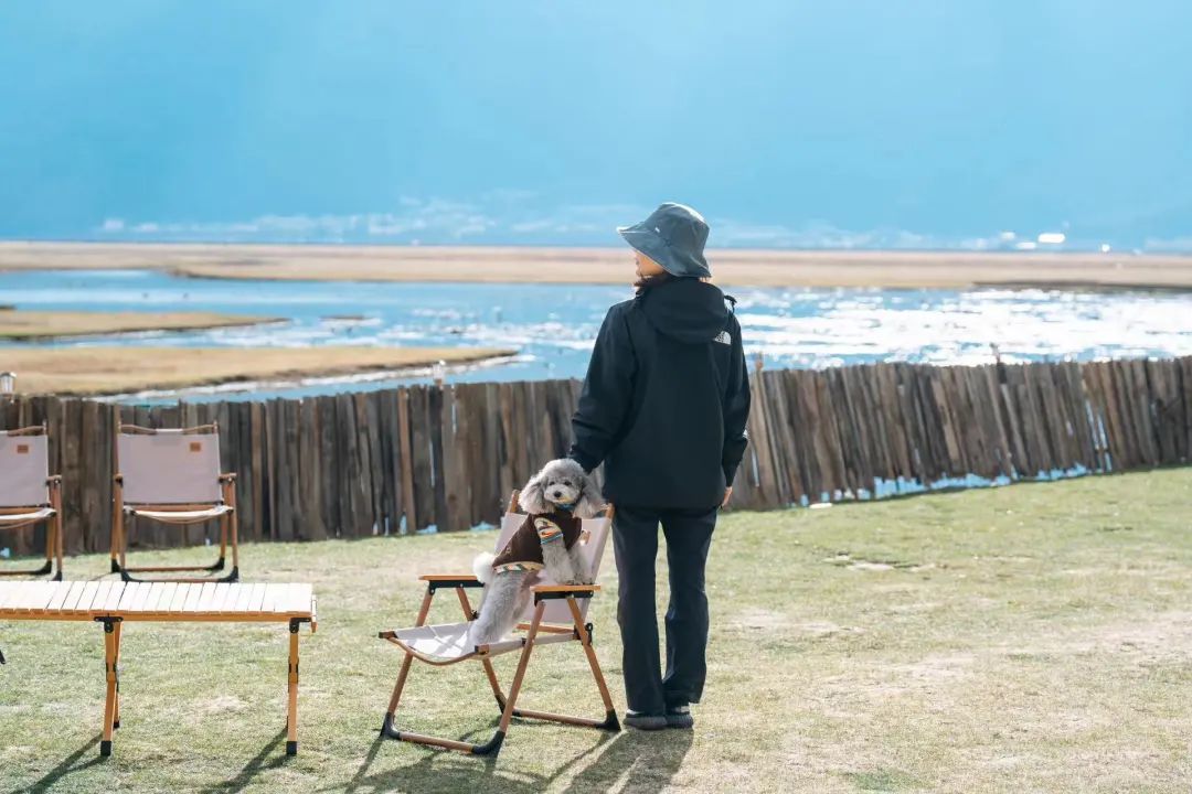 物质上我养活它,精神上它治愈我