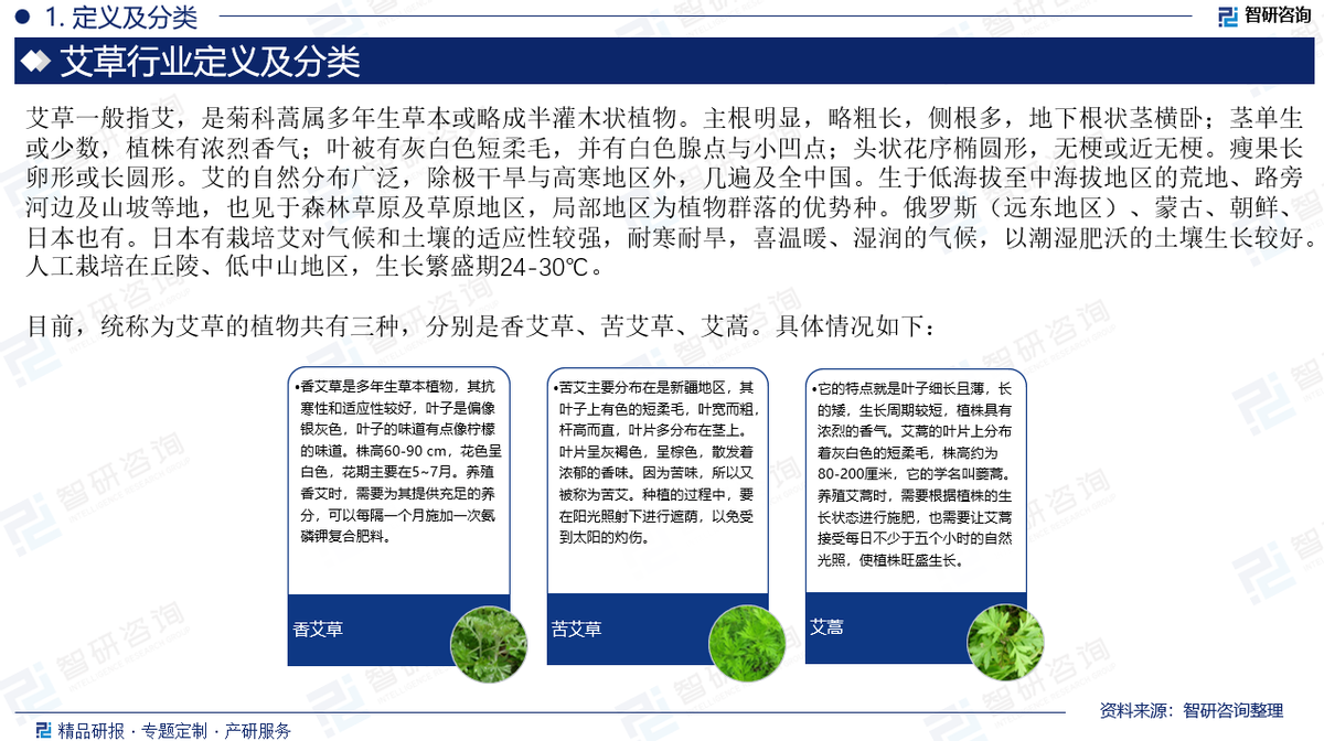 智研咨询发布:中国艾草行业发展环境及市场运行态势研究报告