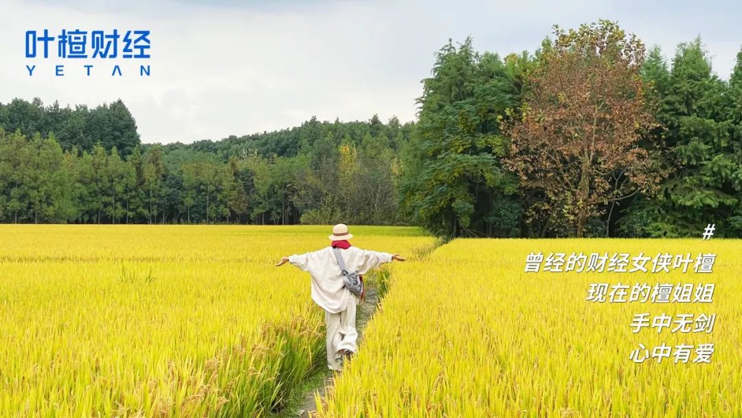 一流企业定标准 顶流城市造生态 深圳又成急先锋
