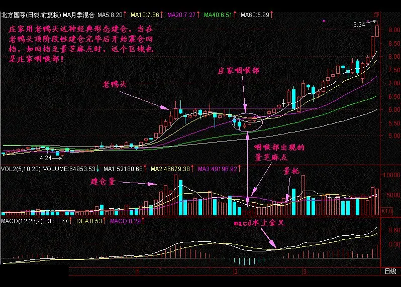 短线炒股教程:"趋势 资金"策略,轻松收获涨停板!