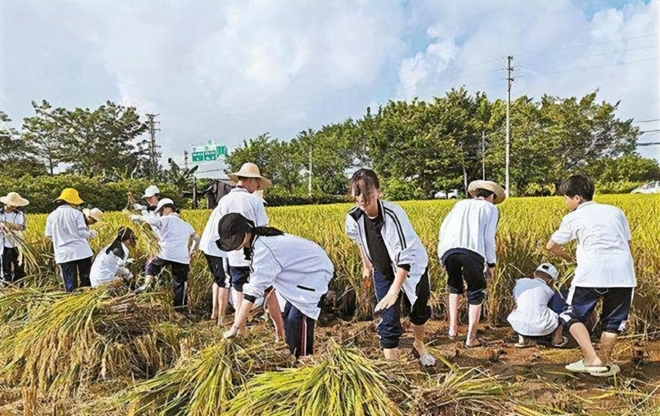 撂荒地潮州粮农科技产业园亦课堂-广东|国稻种芯·中国水稻节-农民