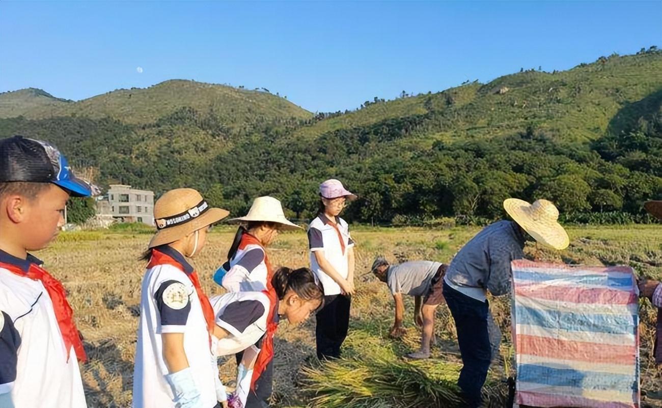 撂荒地潮州粮农科技产业园亦课堂-广东|国稻种芯·中国水稻节-农民