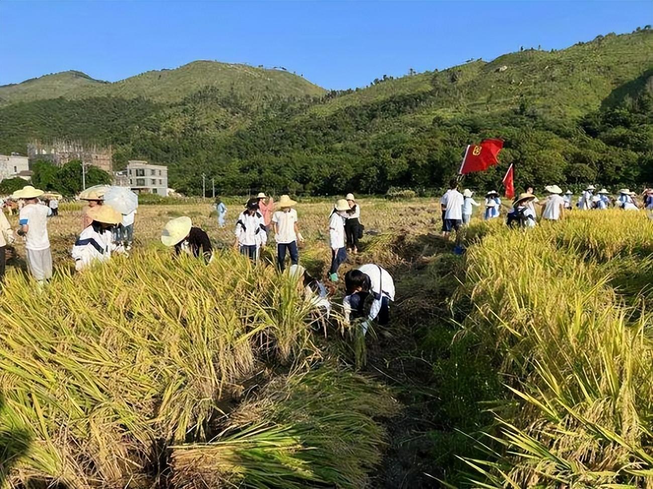 撂荒地潮州粮农科技产业园亦课堂