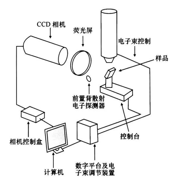 ebsd系统能够将显微构造与晶格结构直接联系起来,提供晶体颗粒的定向