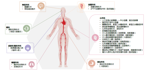 医疗器械用什么材料安全与创新并存：动物源性医疗器械的上市产品与应用前沿_https://www.jmylbn.com_新闻资讯_第7张