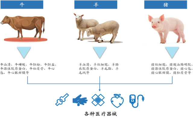 医疗器械用什么材料安全与创新并存：动物源性医疗器械的上市产品与应用前沿_https://www.jmylbn.com_新闻资讯_第2张