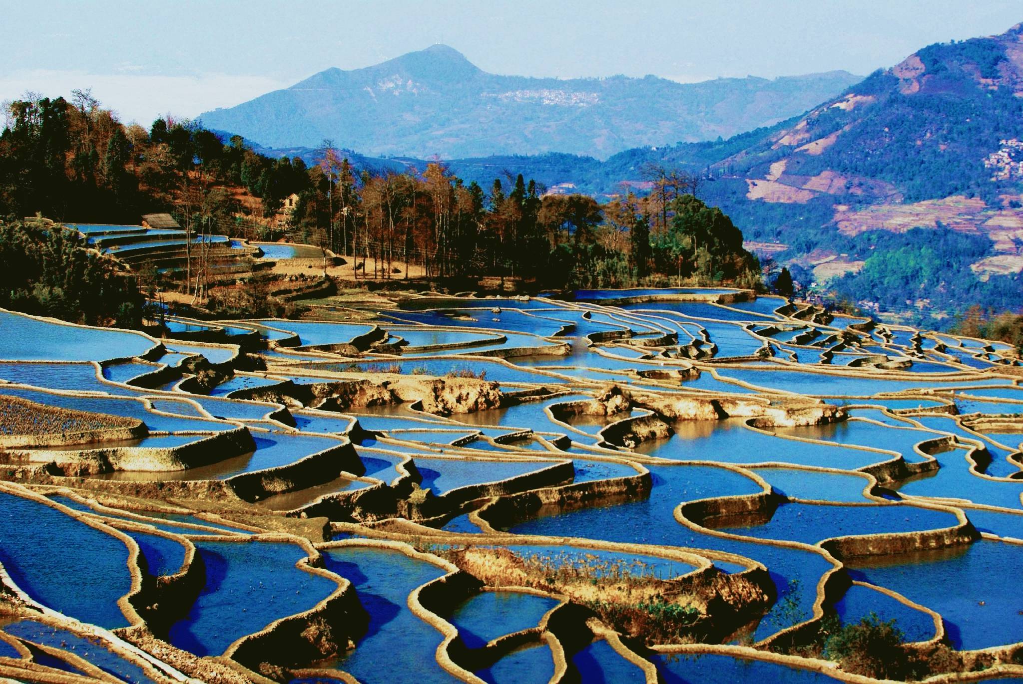遂川县新盛旅游:打造"衣食住行"服务平台,开创旅游新篇章_财富号_东方