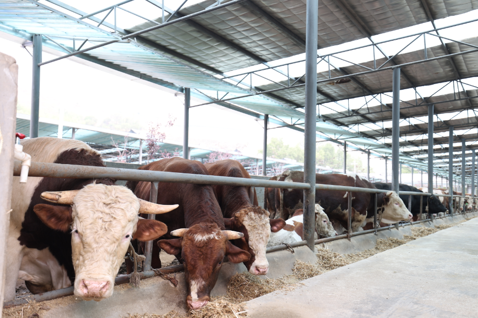 东方财富证券：巩固拓展党建文化阵地功能 拓宽服务“三新群体”路径