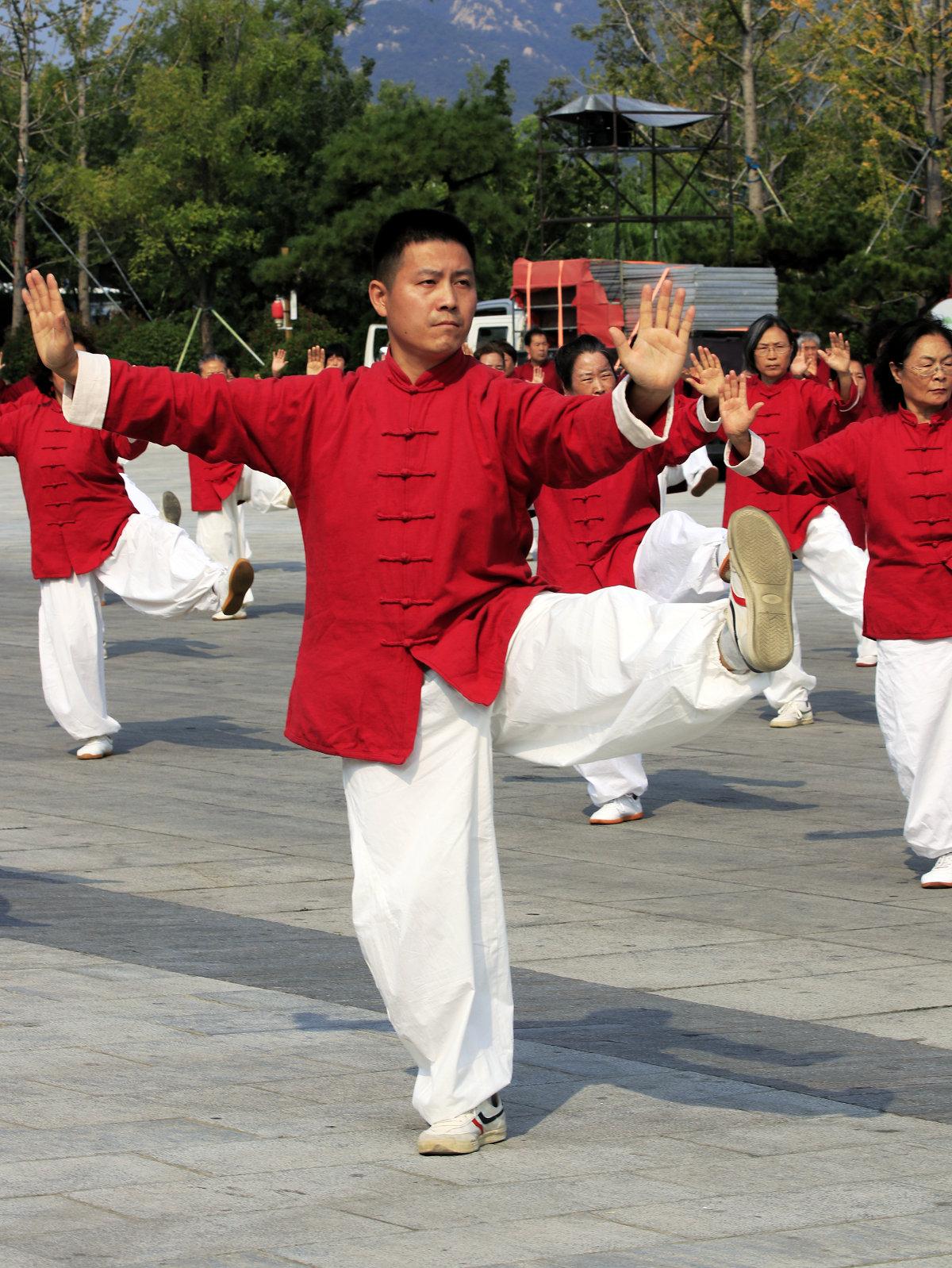 首页>社区>正文>在演练现场,本次活动领队,太极拳名家杨大卫对大家的