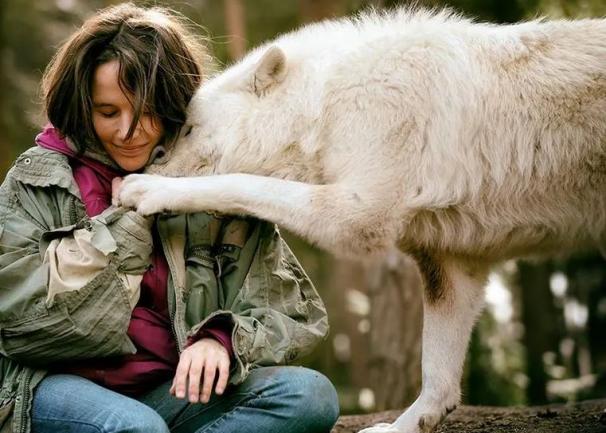 "狼女"钢琴家格里莫携萨尔茨堡室内乐团奏响古典主义时期音乐的黄金