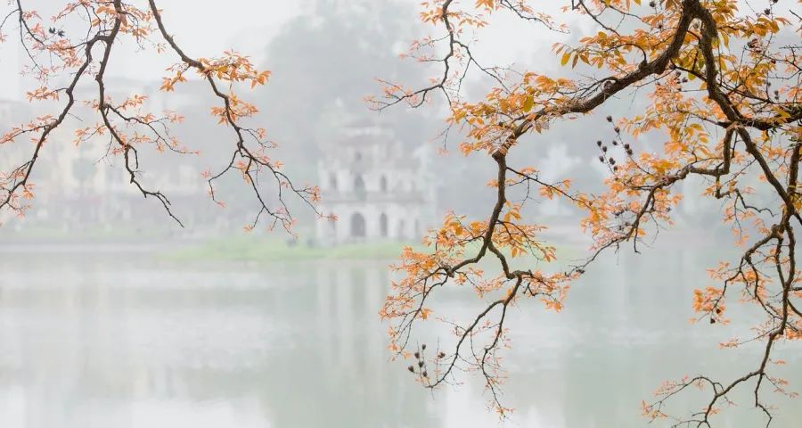 今年家电十一黄金周市场和消费加速回归-家电圈官网