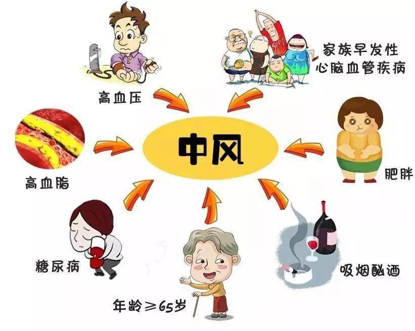 掌握四尽早远离脑卒中