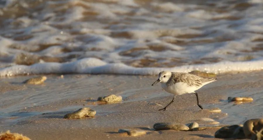 没有“国补”资格的家电经销商怎么办?-家电圈官网
