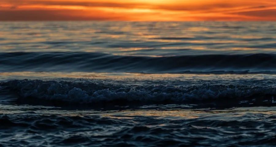 今年双11大促家电厂商不兴奋缺热情-家电圈官网