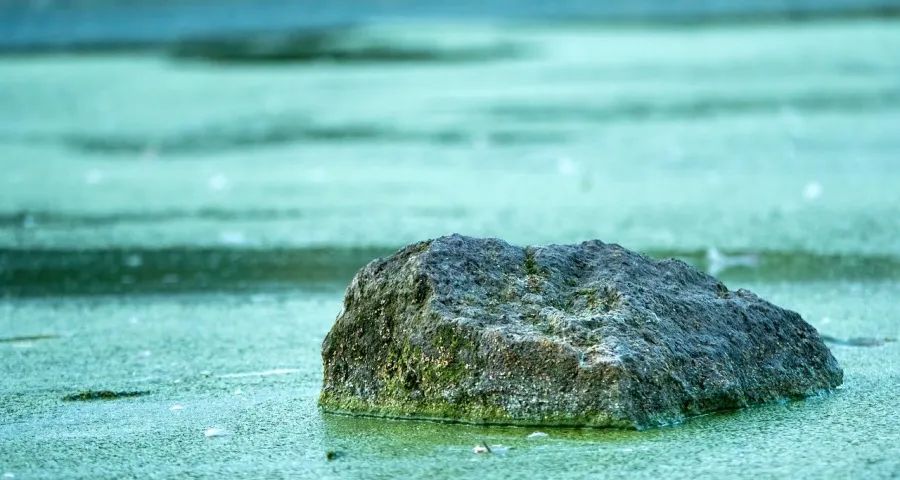 今年家电厂商营销的最大变局出现-家电圈官网