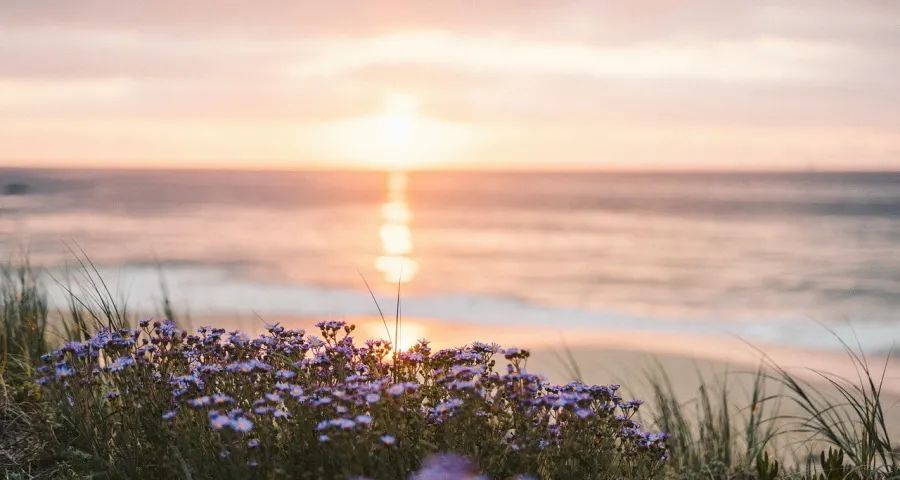 首批家电“国补”资金用完怎么办?政策文件中早就给出答案-家电圈官网