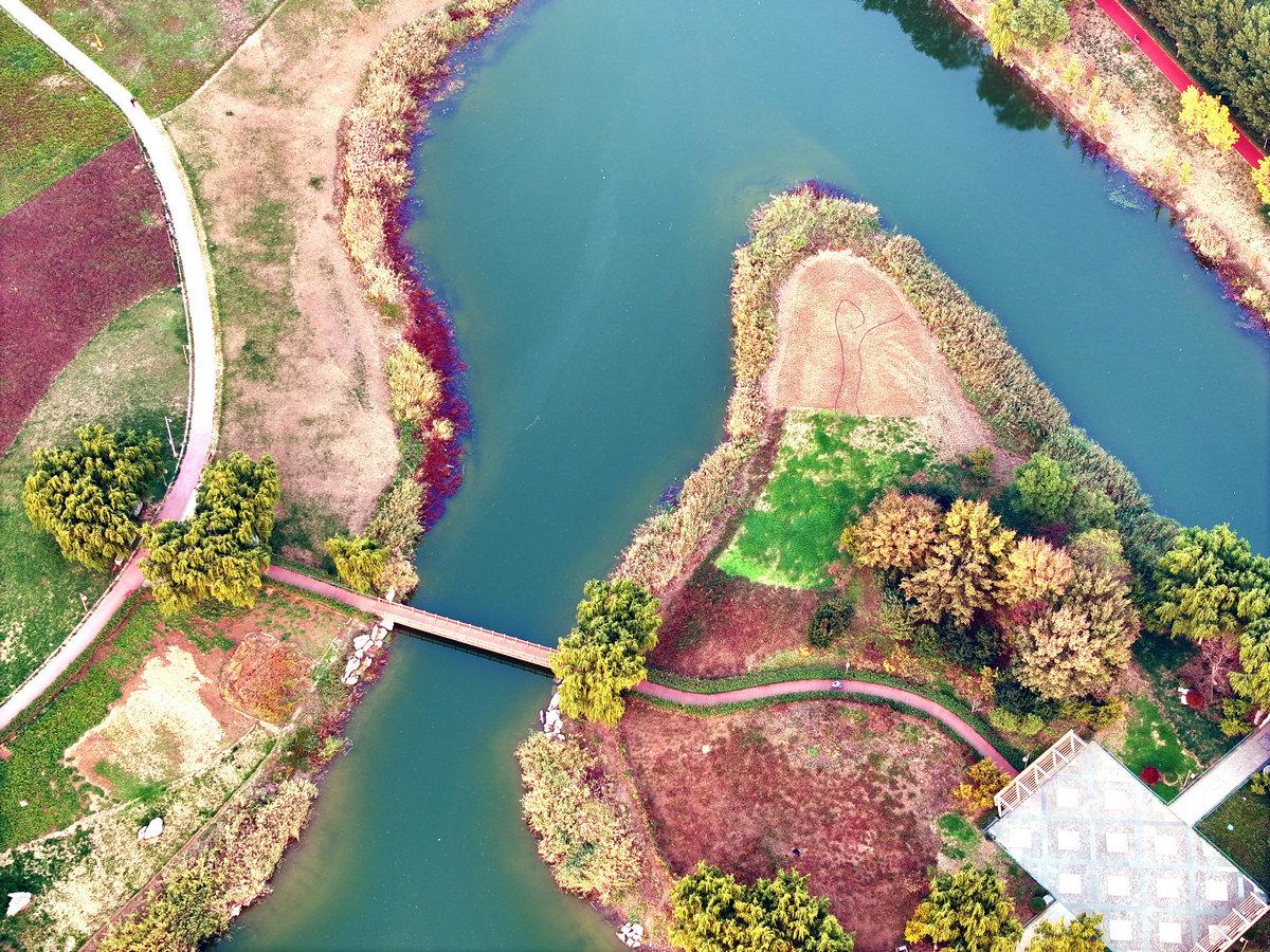 宁阳洸河公园简介图片