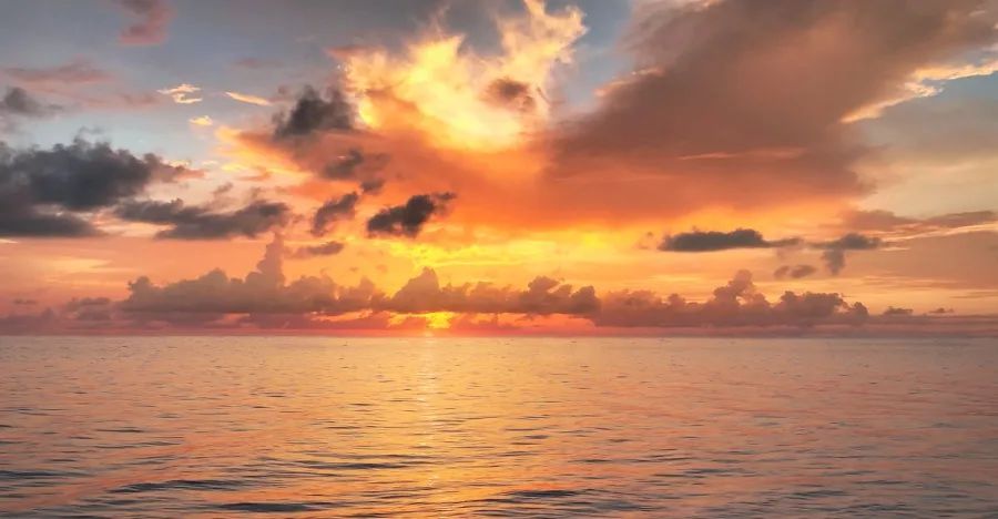 家电消费异动:美的海尔海信TCL领涨,康佳老板极米科沃斯落后-家电圈官网