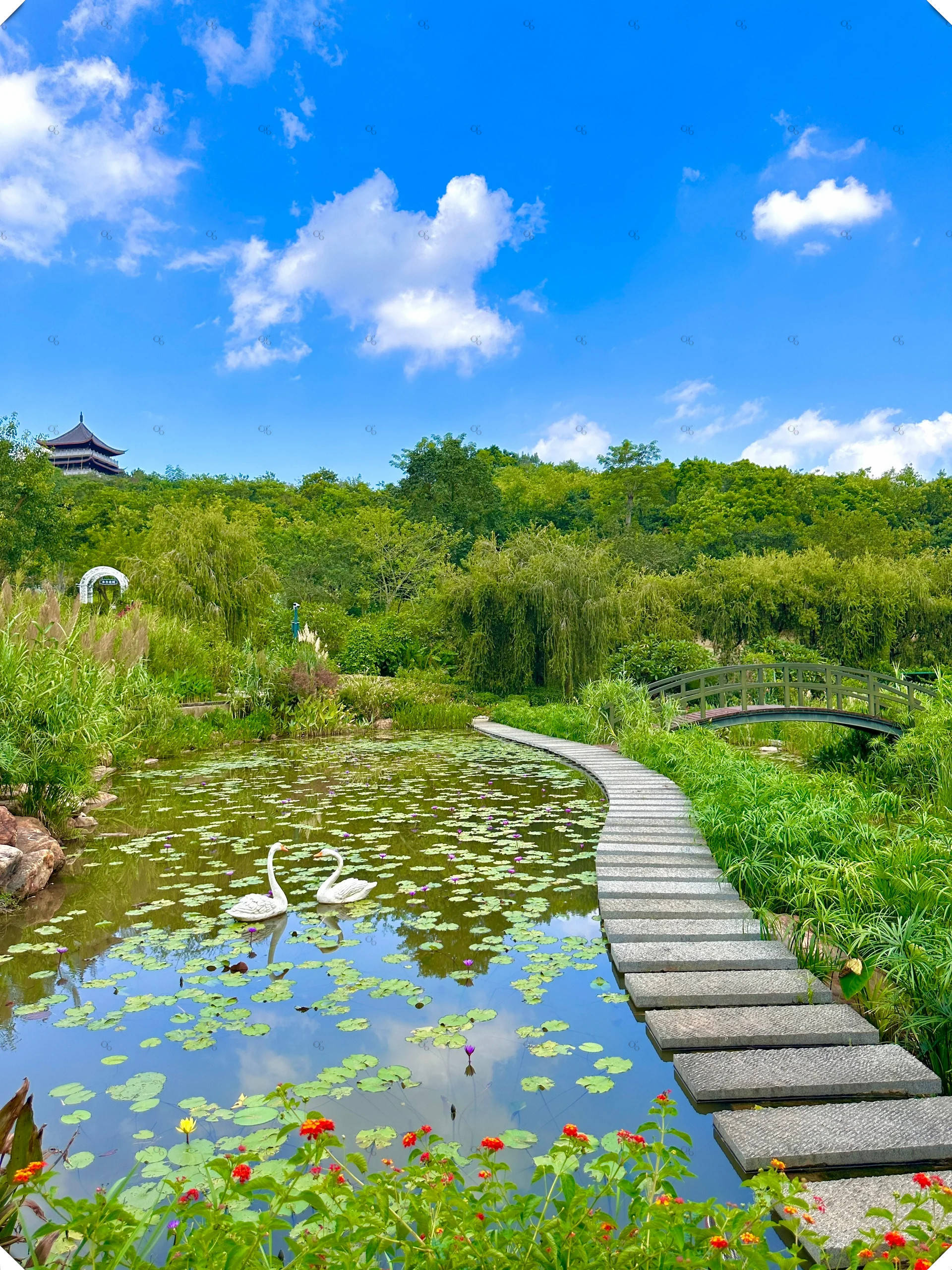 南宁青秀山天池图片