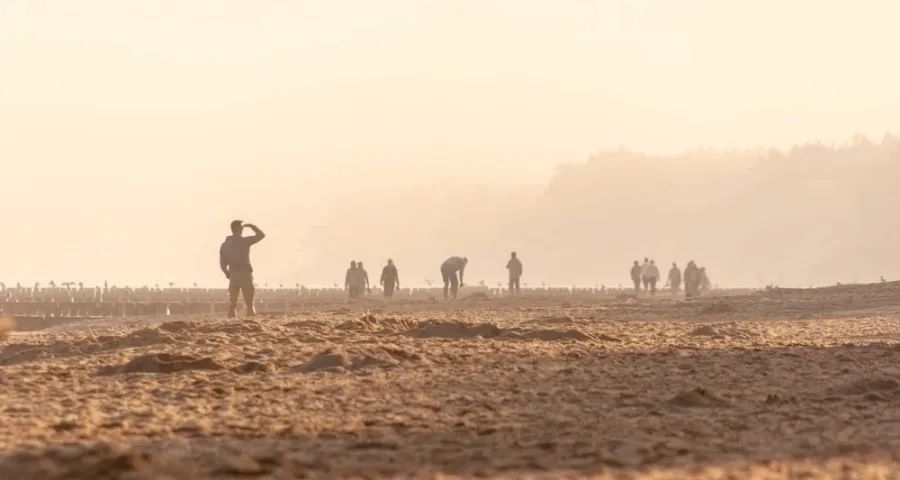 今年双11家电市场很安静的背后-家电圈官网