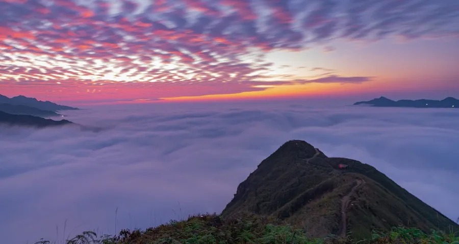京喜发力白牌家电的一大挑战两个困境-家电圈官网
