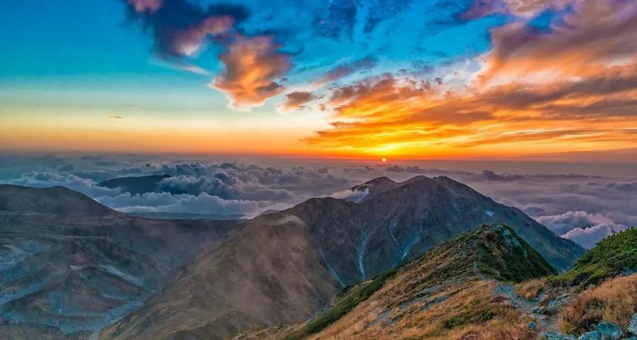 家电国补有变!长虹海尔海信美的格力放大招,方太小米康佳破局-家电圈官网