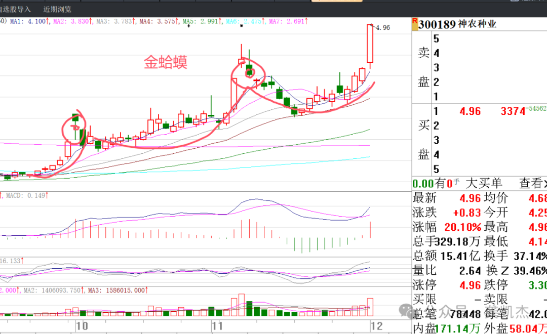 我们看一下近期的妖股,基本上都是走金蛤蟆模式!
