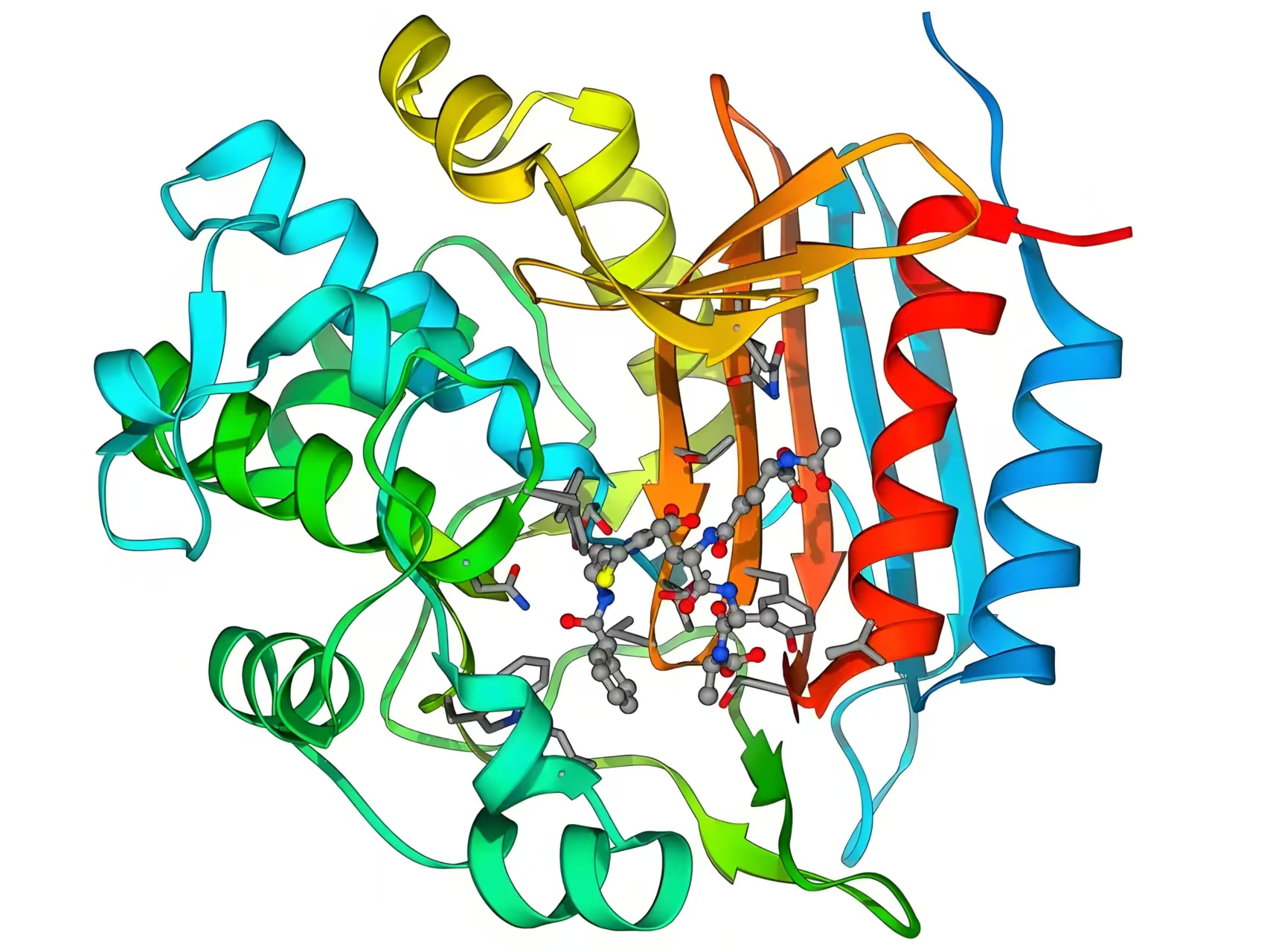 美国刺突蛋白蔓延严重,主要问题是?