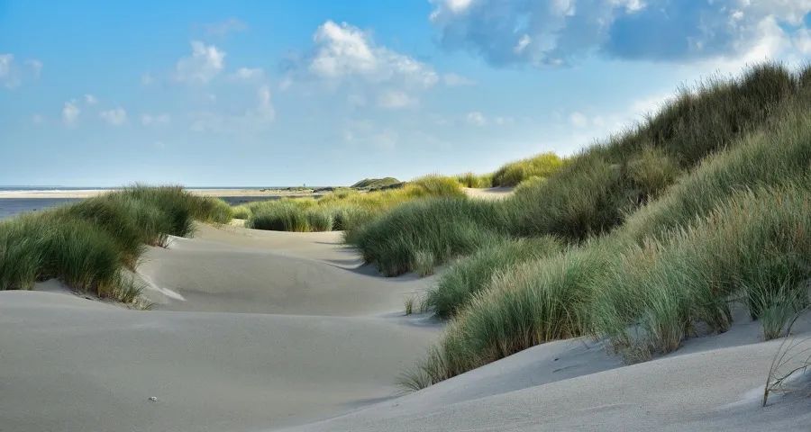 家电消费火热与寒气并存,海尔美的长虹格力TCL追觅谋新局-家电圈官网