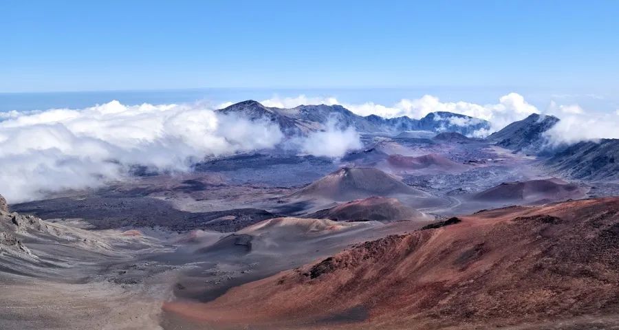 2025年家电企业的四张牌怎么打?-家电圈官网