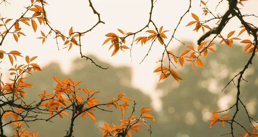 家电2025猜想:价格恶战还会继续吗?-家电圈官网