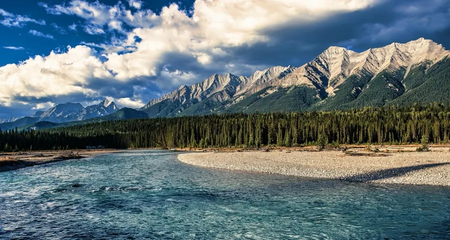 家电2025猜想:主动卷能避免消费透支?-家电圈官网