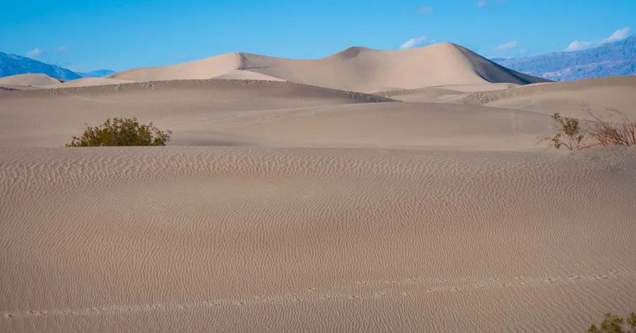 2025年家电厂商触底反弹的机会来了!-家电圈官网