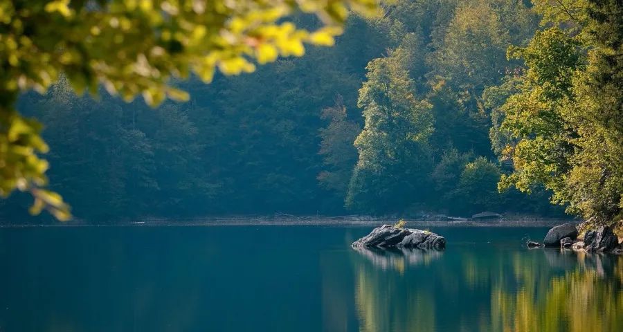 别慌!今年家电市场的生意不会太差-家电圈官网
