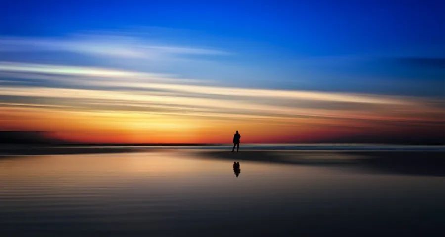 走远路的任富佳,与老板电器的烹饪大道-家电圈官网