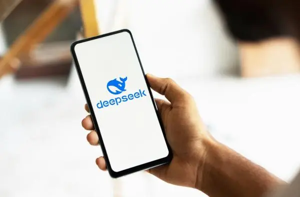 DeepSeek爆火，AI工業(yè)出資邏輯生變？