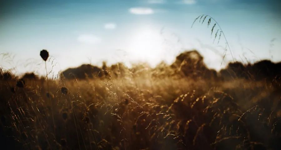 新一轮家电消费风口,有人爱大牌有人爱低价-家电圈官网