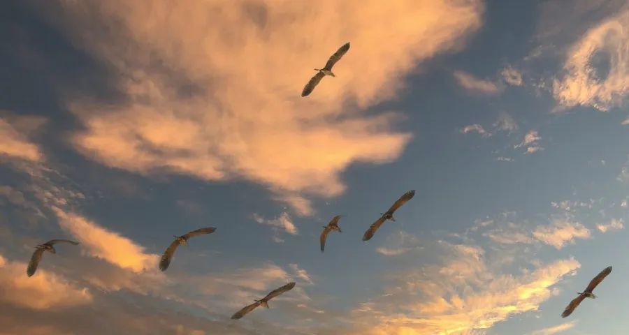 雷军的刀董明珠的剑均指向家电的增量-家电圈官网