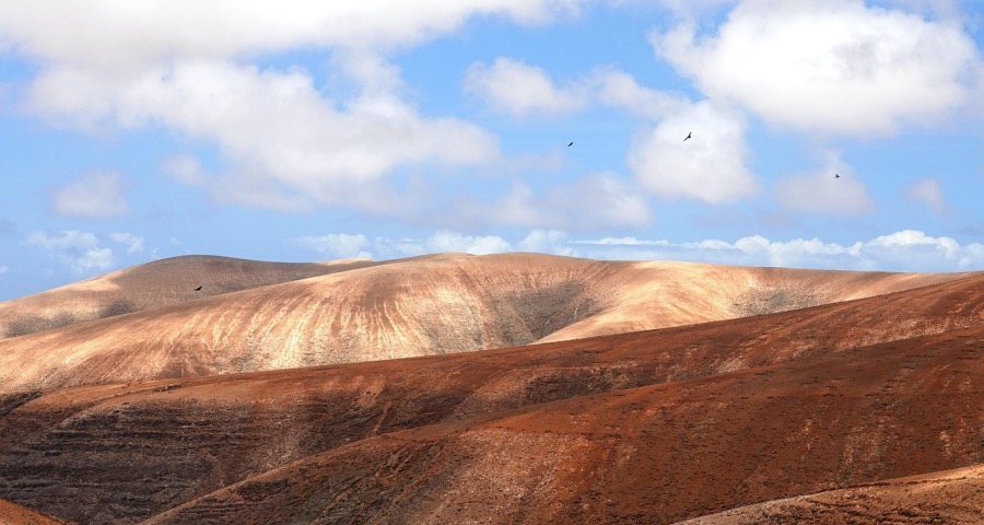 别慌!家电企业绝不会抛弃渠道经销商-家电圈官网