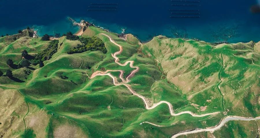 家电业盼整治“内卷”,海尔格力美的TCL破局三星索尼石头调整-家电圈官网