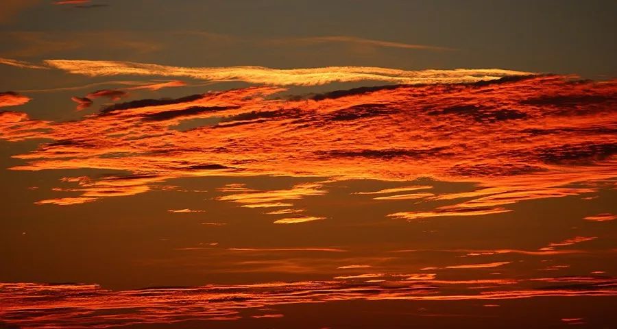 家电厂商的“鱼水情”今年要被斩断了?-家电圈官网