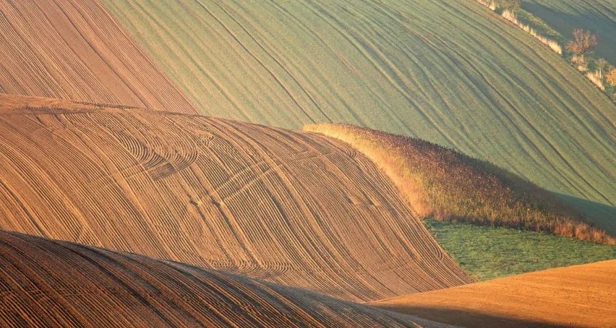 家电市场大洗牌:海尔美的海信领涨创维下跌,美团京东跨界-家电圈官网