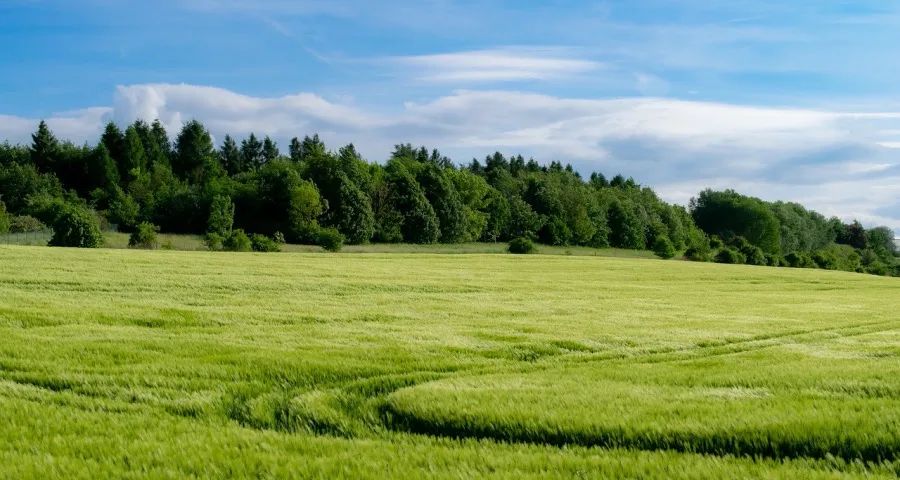 拼不过低价?这几年家电业营销创新缺点烟火气-家电圈官网