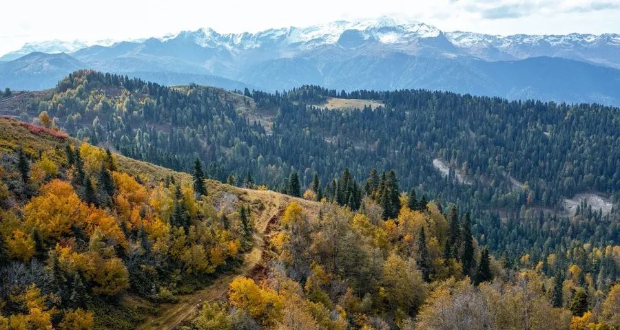 家电国补破亿台!美的海尔方太京东抢跑康佳小熊博西动荡-家电圈官网