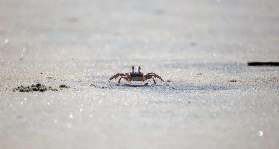空调经销商开始亏本卖货了!-家电圈官网