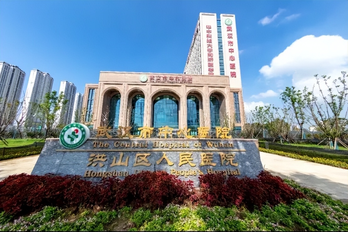 包含回龙观医院代挂专家号加代问诊复杂病例资料整合，便于精准诊疗的词条